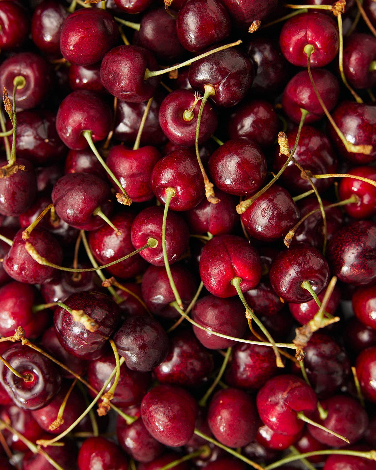 Collagen Beauty Elixir: Dark Forest Cherry | PROMIX | Muse Ever After
