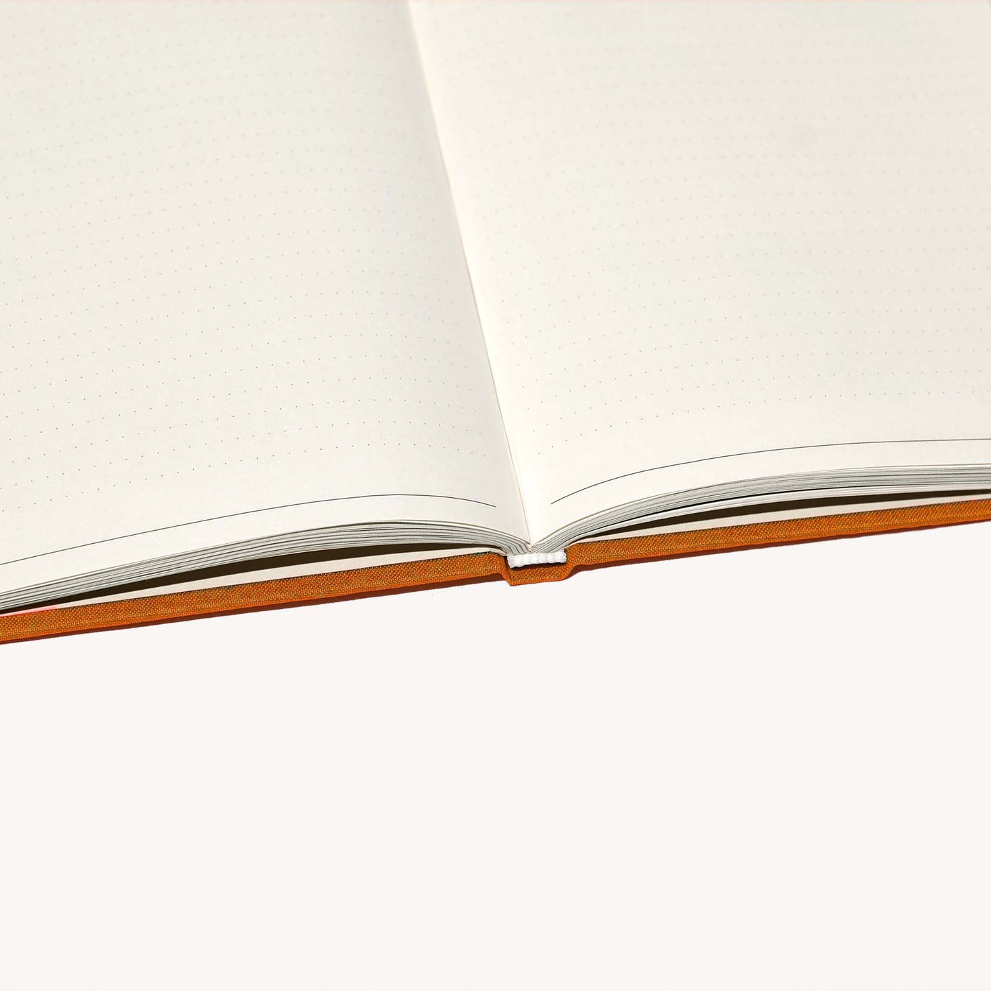 The Build-a-Habit Guide | THERAPY NOTEBOOKS | Muse Ever After