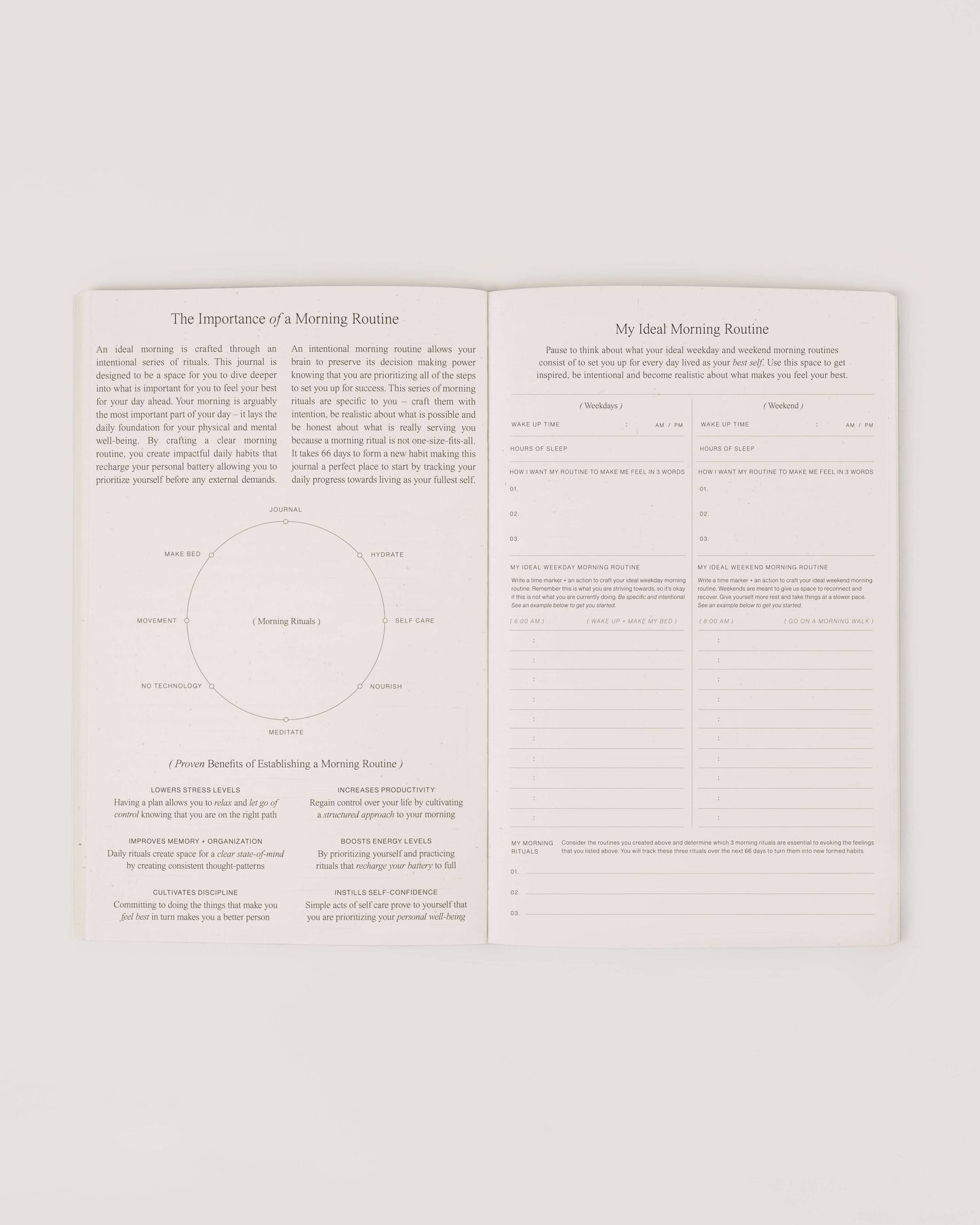 Morning Routine Journal | WILDE HOUSE PAPER | Muse Ever After