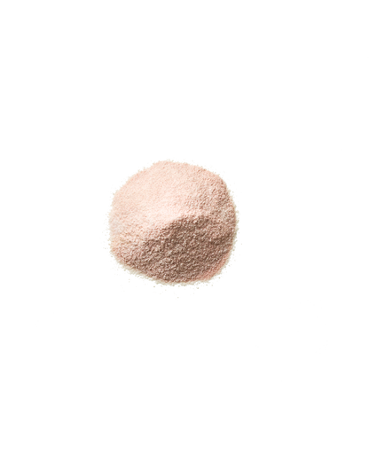 Debloat: Prebiotic + Probiotic: Florida Orange | PROMIX | Muse Ever After